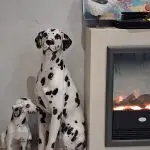 Au coin du feu